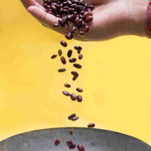 Feijão vermelho biológico